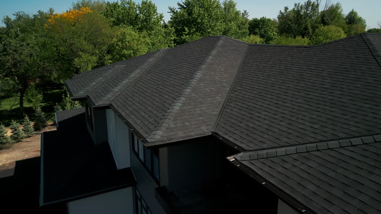 Best Metal Roofing Installation  in Hidalgo, TX