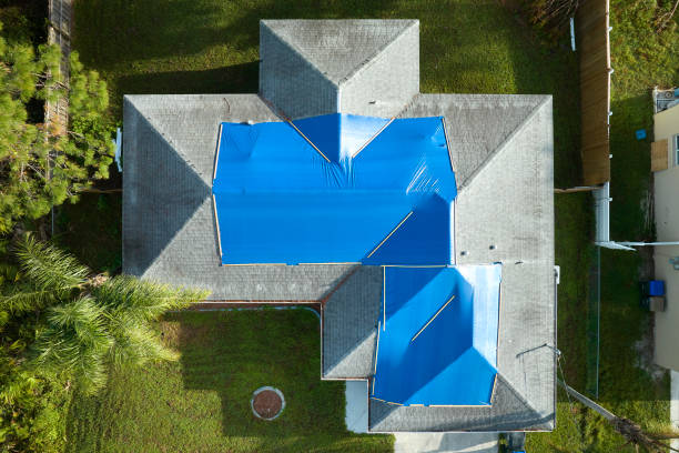 Best 4 Ply Roofing  in Hidalgo, TX
