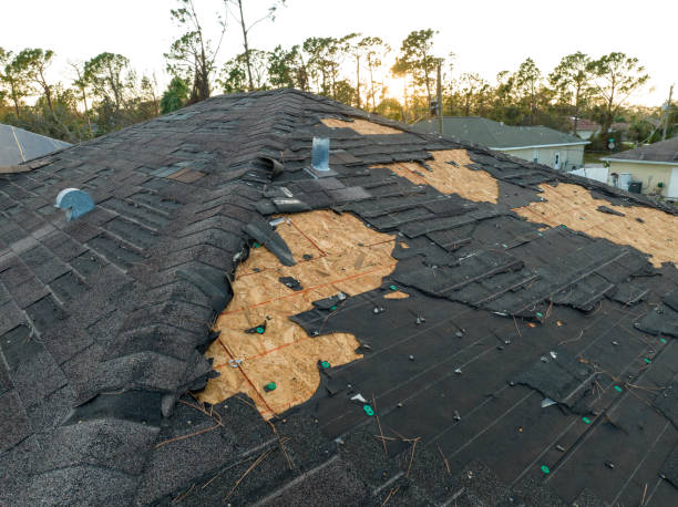 Hidalgo, TX Roofing Service Company