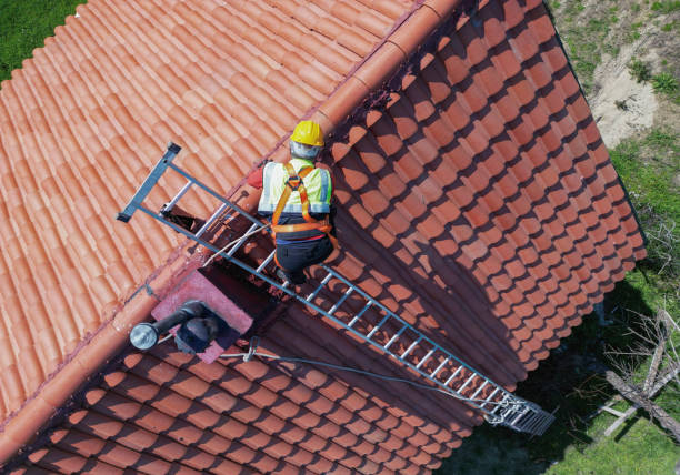 Best Roof Installation  in Hidalgo, TX